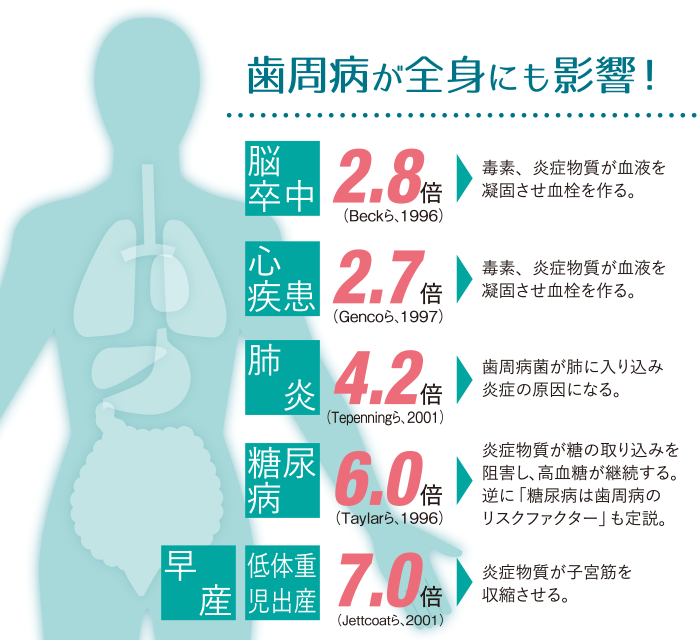 歯周病の全身への影響