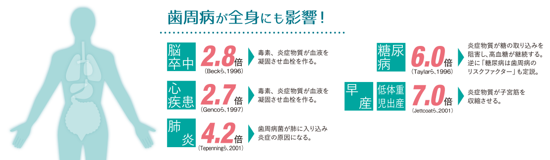 歯周病の全身への影響