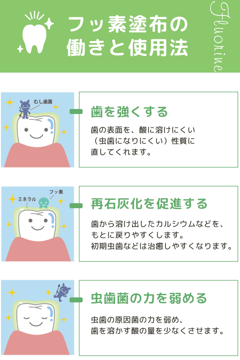 フッ素塗布の働きと使用法